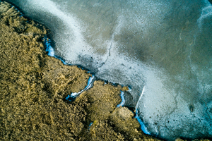 Lakeshore Operations | Ground Level Series #04