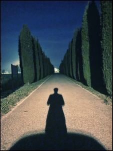 Lost in Polesine