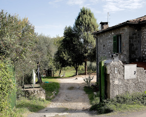 Morolo
