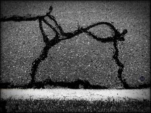 Road animal 2