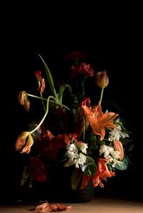 © Kathryn Jago