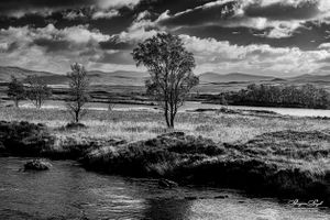 Loch Ba, Scotland |  08