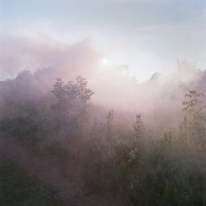 Work from series "Ilgas"