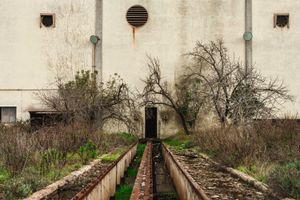 LOST EMPIRES