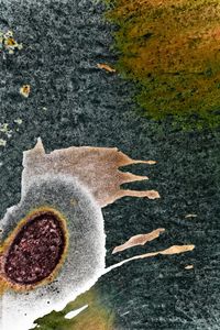 Ovum Escape
