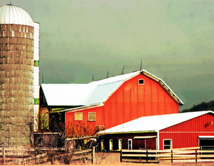 Farm 2- Delaware County, NY