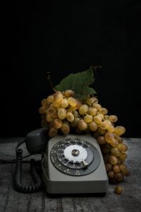 Grapes (6000 B.C.) and Telephone (1970's)