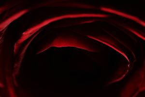 Red Abstraction