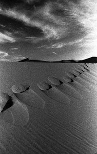 Dune #13
