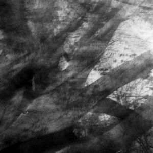 untitled 19