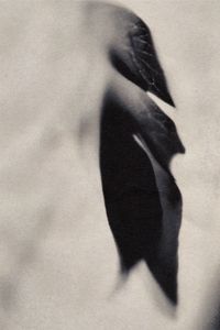 ASHITAKA