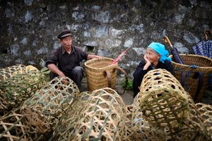 The Basketeers