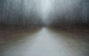 Path 1, 2010