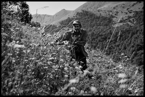 Hovik does traditional haymaking. Many people continue to use the scythe and pitchfork to cut and sort the hay.