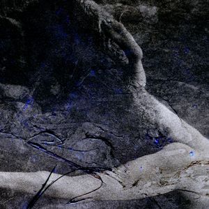 The Natural order-14