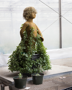 Helen, Hyde Park Green Houses