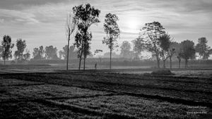 Another quiet morning | Dhanda, Punjab.