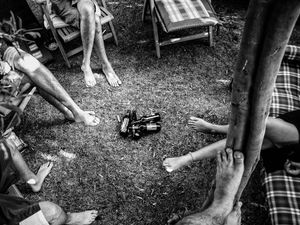 trees can socialize | remembrance 2