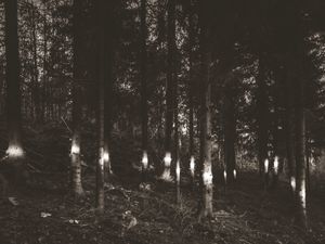 Light