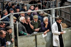 Farmers penned