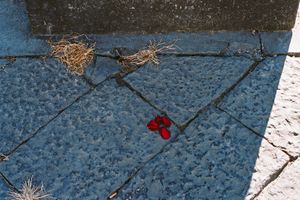 Ciao, Italia | Untitled #9