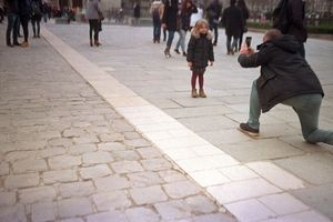 sur un plateu de lilas