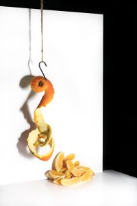 Citrus sinensis