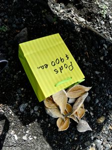 Aphrodisiac
