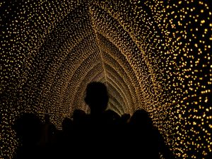 Lightscape