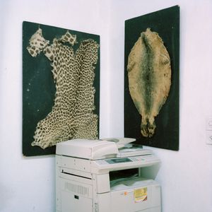 Copying machine and animal furr
