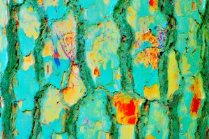 GREEN BARK WALL