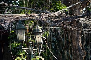 wired III (in the wireless age)
