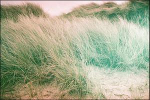 Winterton 2