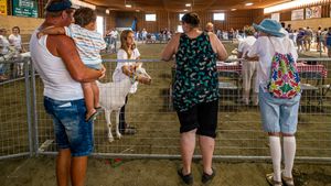Grace On Parade: Goat Fanciers of Peninsular Saanich 5