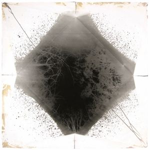 Paper Camera, Large_03, Gelatin Silver, 2012 © Ross Faircloth