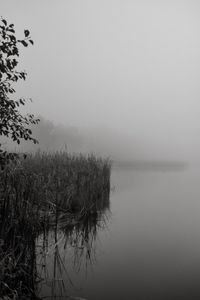 Samotność