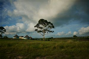 XhosaLandscape_02.jpg