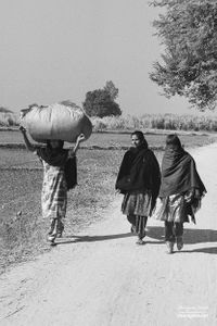 Three women wending home | Dhanda, Punjab.