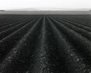 Field, Moera Road