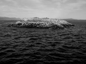 Usuahia, Tierra del Fuego.