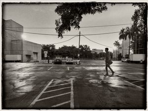 Coconut Grove
