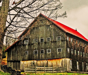 Tall Barn  Davenport, NY