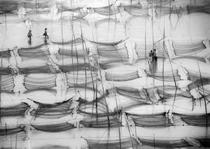 Seaweed Farm