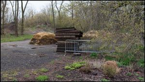 Toronto Island Portfolio Toronto Island Portfolio Limited Edition Prints  22x12" and 42x22"  2017