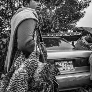 © Francisco Alcala Torreslanda