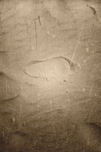 Trace