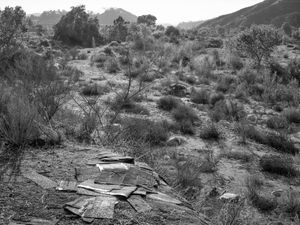 Big Tujunga Creek, 2022