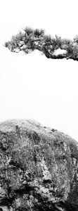 Pitch Pine Granite