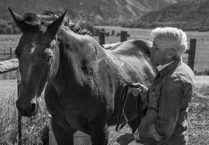 The horse whisperer