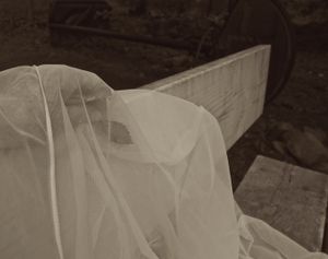 © Mildred Alpern